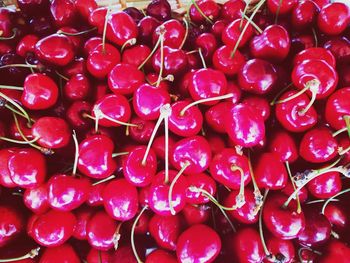 Full frame shot of red berries