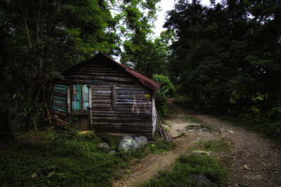 Old wooden house amidst trees and plants in forest