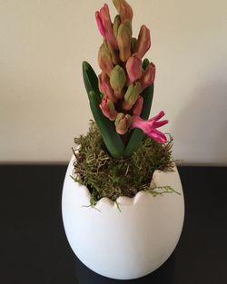 Close-up of flowers in vase