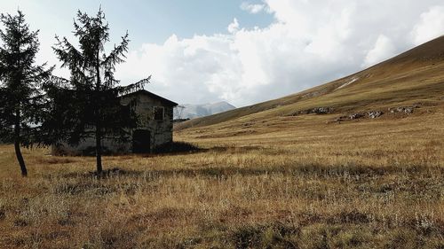 Scenic view of farm against sky