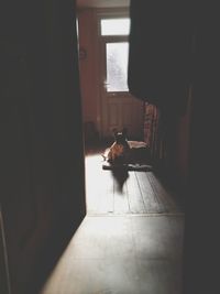 Rear view of woman sitting at home