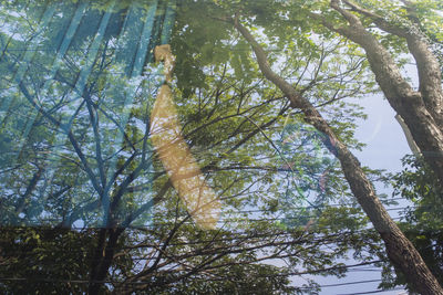 Low angle view of trees against sky