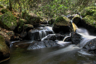 View of waterfall in forest