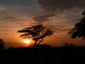 Silhouette tree against sky during sunset