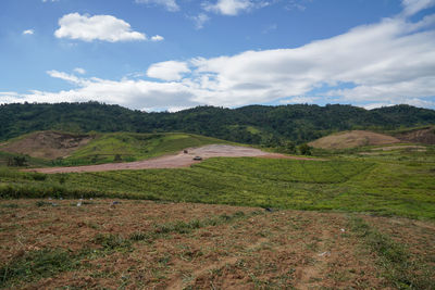 Scenic view of field against sky