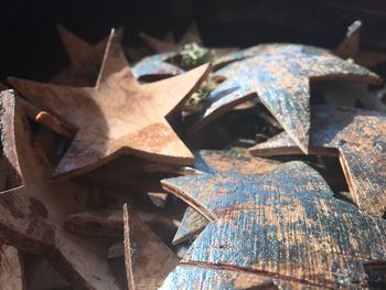 High angle view of dried leaves on metal