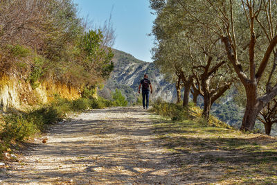 Rear view of man walking on footpath amidst trees