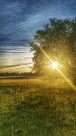 Scenic view of grassy field against sky during sunset