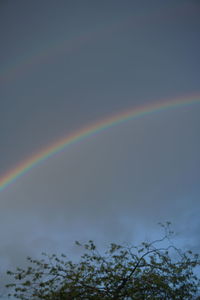 Low angle view of rainbow against sky