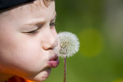 Close-up of boy blowing dandelion