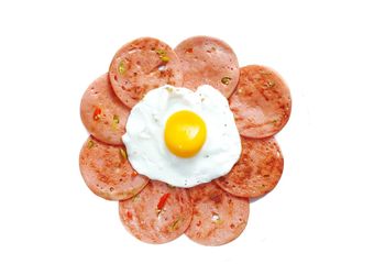 Close-up of breakfast served in plate against white background