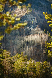 Mountain landscape view. nature travel background.