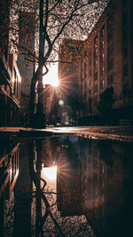 Reflection of building in rain puddle at sunrise