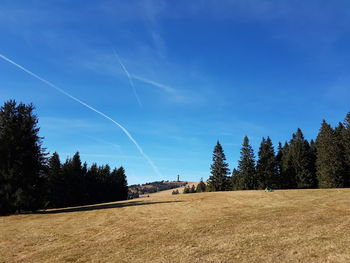 Trees on landscape against blue sky