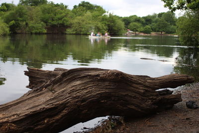 Scenic view of lake by trees against sky
