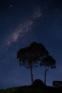 Low angle view of trees against sky at night