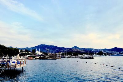 Sailboats moored in harbor