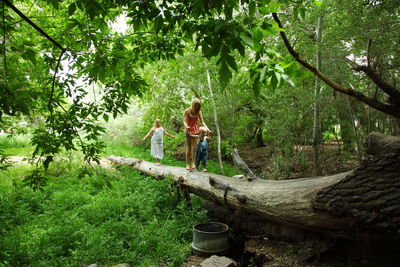 Sibling walking on fallen tree in forest