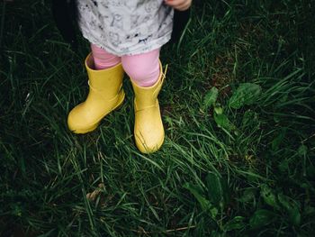 Low section of girl standing on grass