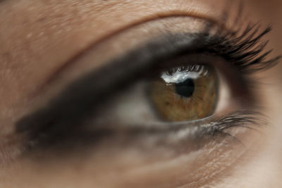 Close-up of human eye