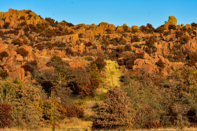 Scenic view of landscape against clear sky