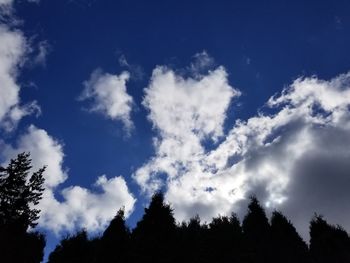 Low angle view of silhouette trees against blue sky