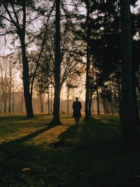 Rear view of man walking on field