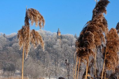 Low angle view of temple against clear sky