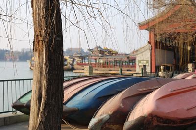 Close-up of cars and bare tree against sky