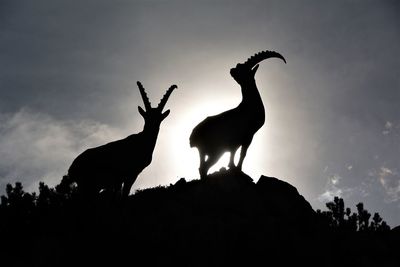 Low angle view of silhouette birds against sky