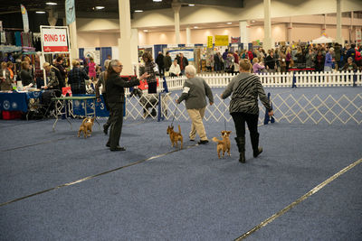 Group of people with dog standing in shopping mall