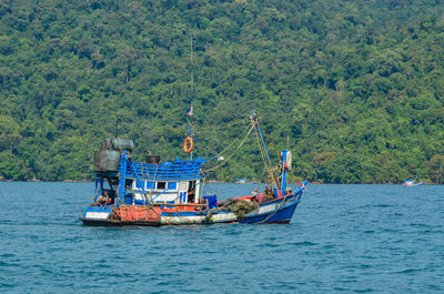 Boat sailing in sea against trees