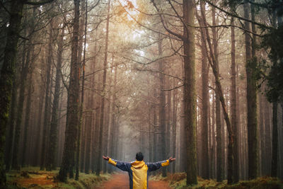 Rear view of person standing in forest