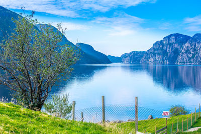 The calm blue waters of the lysefjord in norway 