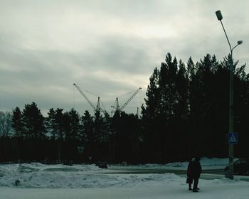 Snow covered trees against sky