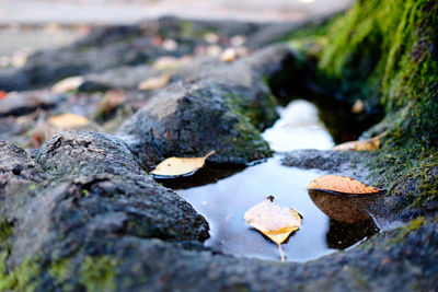 Close-up of rocks