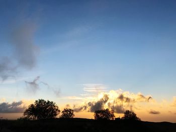 Low angle view of silhouette trees against sky