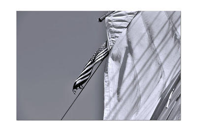 Close-up of umbrella against white background