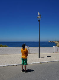 Rear view of man walking on street by sea against clear sky
