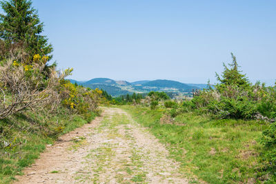 Scenic view of landscape against clear sky