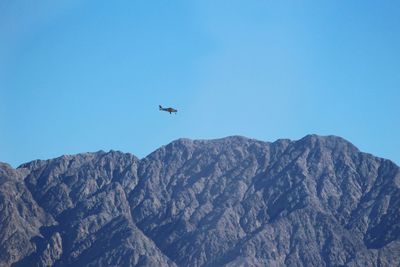 Low angle view of bird flying in mountains against clear blue sky