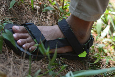 Close-up of hands on field