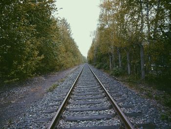 Railroad tracks amidst trees against sky