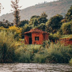 House amidst trees and plants by lake and building against sky