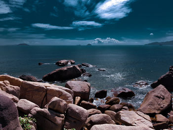 Scenic view of sea shore against sky