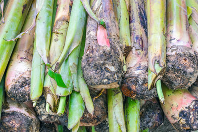 High angle view of vegetables for sale