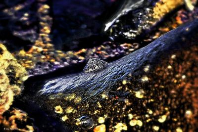 Close-up of rocks in water