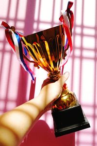 Close-up of hand holding trophy against wall