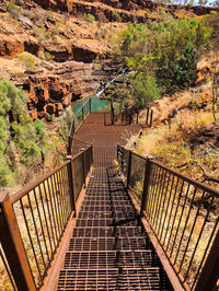 High angle view of footbridge amidst trees