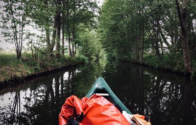 Reflection of trees on lake in forest